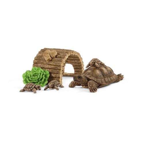 Wild Life Maison Pour Tortues