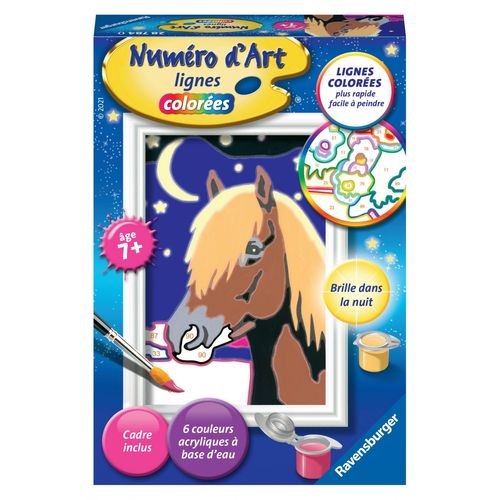 Artistique Numéro D'art - Mini - Cheval De Nuit