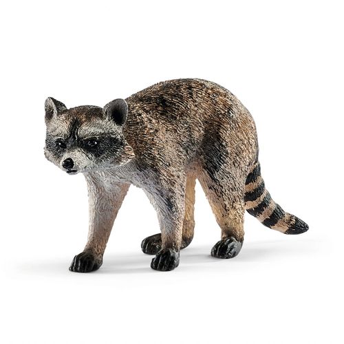 Wild Life Raton Laveur