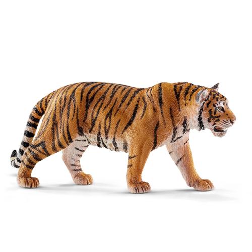 Wild Life Tigre Du Bengale Mâle