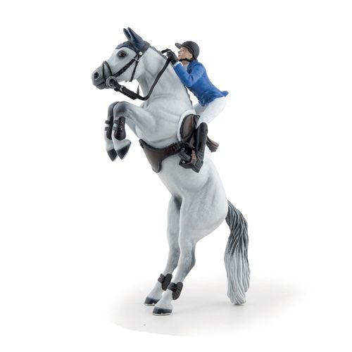 Chevaux, Poulains Et Poneys Pénélope Et Mylord