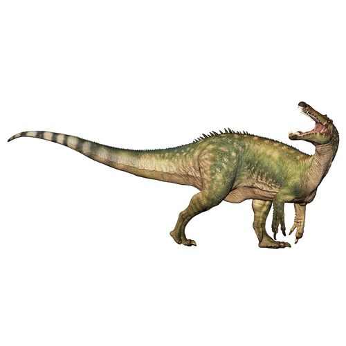 Les Dinosaures Suchomimus
