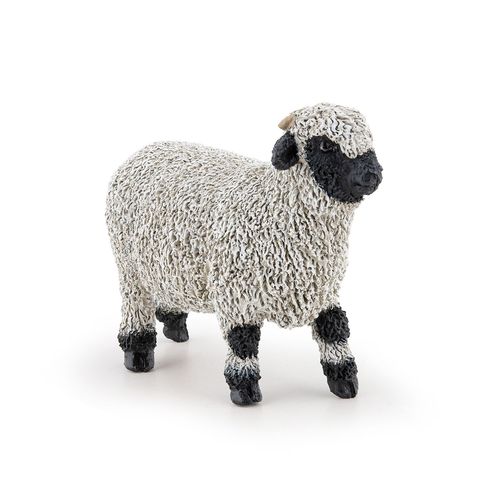 La Vie A La Ferme Mouton Nez Noir Du Valais