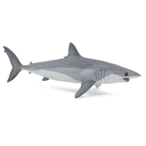 L'univers Marin Requin Mako