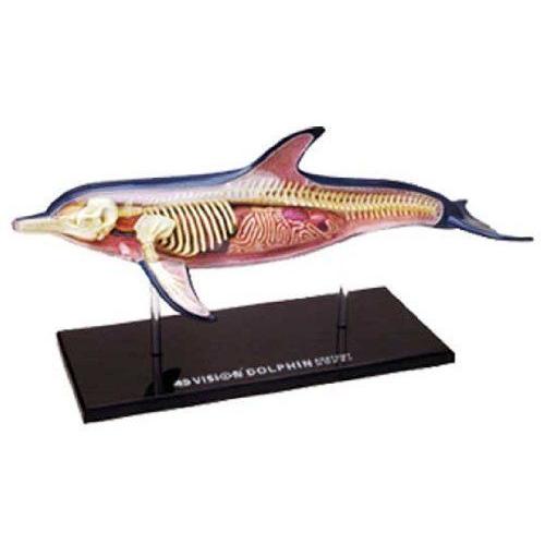 No.07 Dolphin Anatomy Model Skynet Three-Dimensional Puzzle 4d Vision Animal Anatomy (Japan Import)