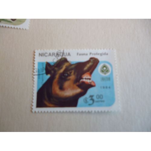 Timbre "Nicaragua :Faune Protégée : Tapir.