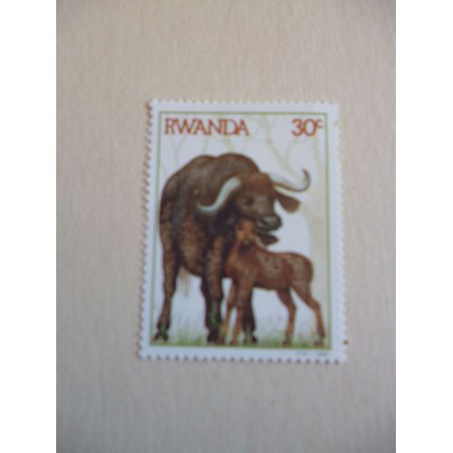Timbre"Rwanda :Bovidés."