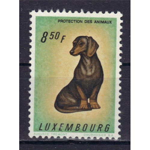 Luxembourg 1961 : Protection Des Animaux : Chien : Basset - Timbre Neuf **