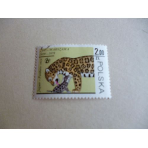 Timbre "Pologne :Cinquantenaire Du Zoo De Varsovie:Panthère".1928-1978.