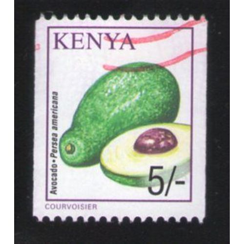 Kenya Oblitéré Used Avocado Persea Americana Légumes Avocat