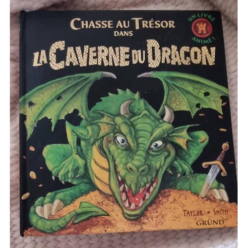 Livre Chasse Au Trésor Dans La Caverne Du Dragon