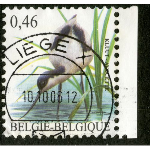 Timbre Oblitéré Belgie, Belgique, Kluut - Avocette, 0.46