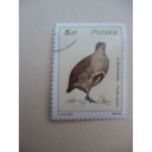 Timbre "Pologne 1986 :Perdrix".