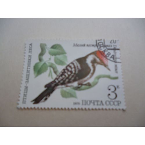 Timbre "Urss 1979 :Dendrocopos Minor".