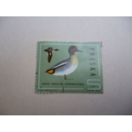 Timbre "Pologne 1985 :Canard :Anas Crecca".