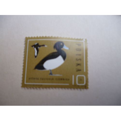 Timbre "Pologne 1985 : Aythia Filigula :Canard."