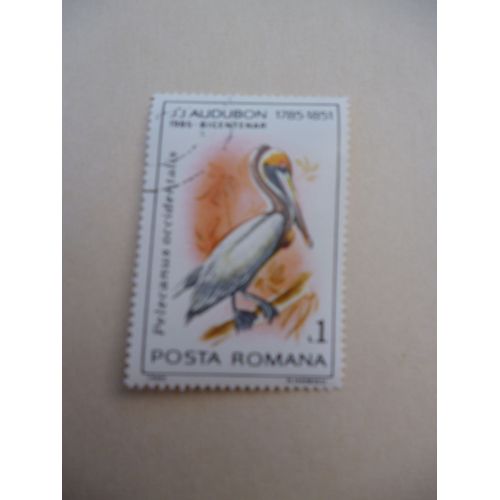 Timbre "Posta Romana 1985 :Bicentenaire Audubon 1785-1851 :Pélican".