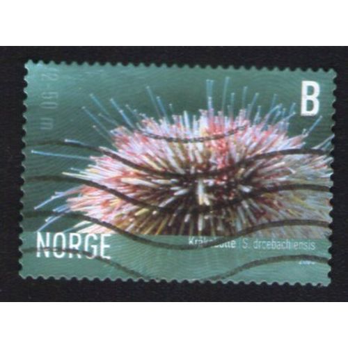 Norvège 2006 Oblitéré Used Stamp Northern Sea Urchin Oursin