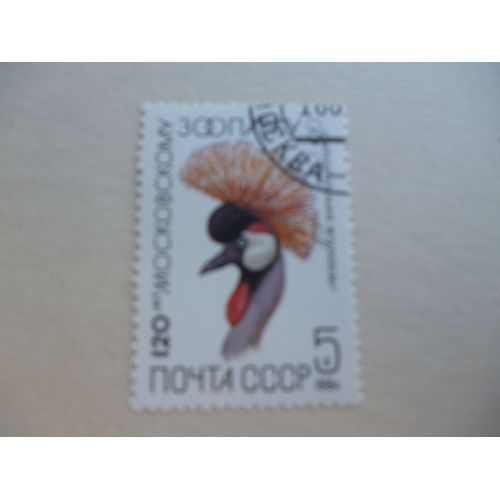 Timbre "Urss 1984 :Grue Huppée".