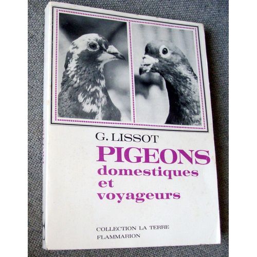 Pigeons Domestiques Et Voyageurs
