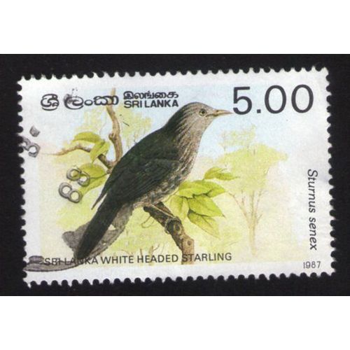 Sri Lanka 1987 Oblitération Ronde Used Stamp Bird Oiseau White Headed Starling Étourneau À Tête Blanche