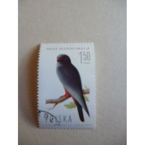 Timbre "Pologne 1974 :Falco Vespertinus Mâle".