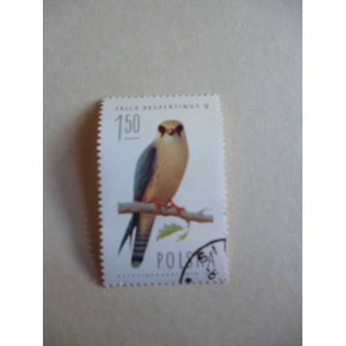 Timbre "Pologne 1974 :Falco Vespertinus :Femelle".