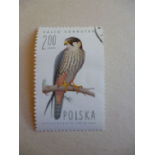Timbre "Pologne 1974 :Falco Subbuteo :Faucon".