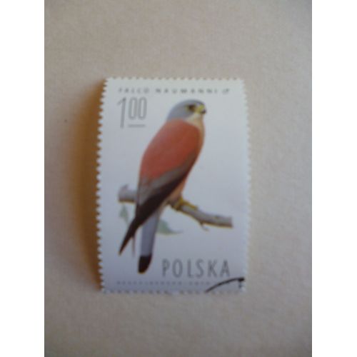Timbre "Pologne 1974 :Falco Naumanni :Mâle".