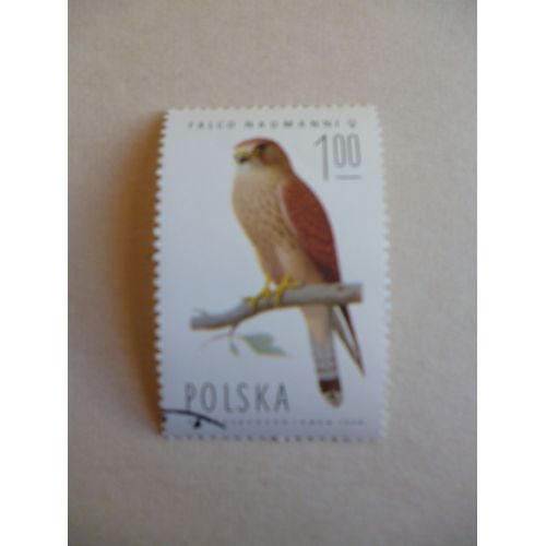 Timbre "Pologne 1974 :Falco Naumanni :Femelle".