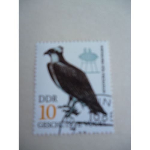 Timbre "Ddr:Allemagne De L'est 1982 :Animaux Protégés :Faucon".