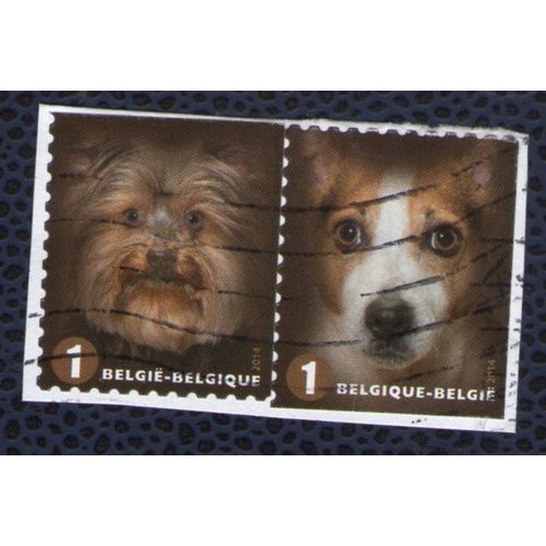 Belgique 2014 Lot 2 Oblitérés Used Dogs Chiens Yorkshire Terrier Et Jackrussel Terrier