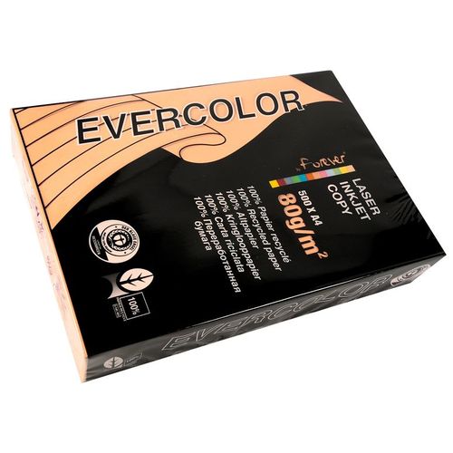 Clairefontaine Lot de 5 Ramettes 500 Feuilles Papier 80g A4 210x297 mm Certifié Ange Bleu  saumon
