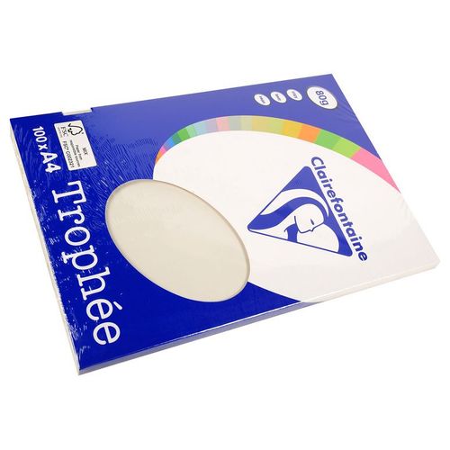 Clairefontaine Lot de 10 Ramettes 100 Feuilles Papier 80g A4 210x297 mm Certifié FSC  gris perle