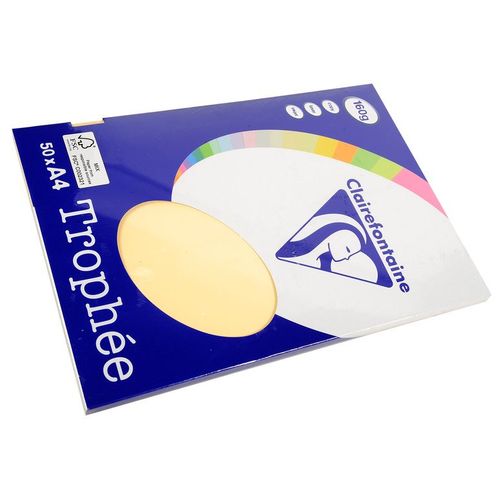 Clairefontaine Lot de 10 Ramettes 50 Feuilles Papier 160g A4 210x297 mm Certifié FSC  chamois