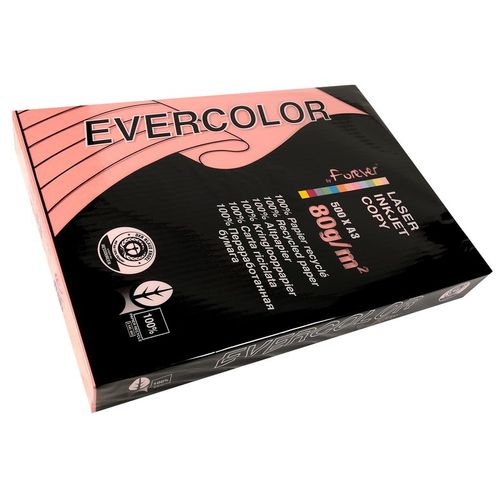 Clairefontaine Lot de 5 Ramettes 500 Feuilles Papier 80g A3 420x297 mm Certifié Ange Bleu  rose