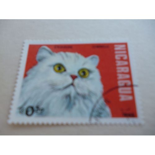 Timbre "Nicaragua 1984 :Chat Chinchilla".