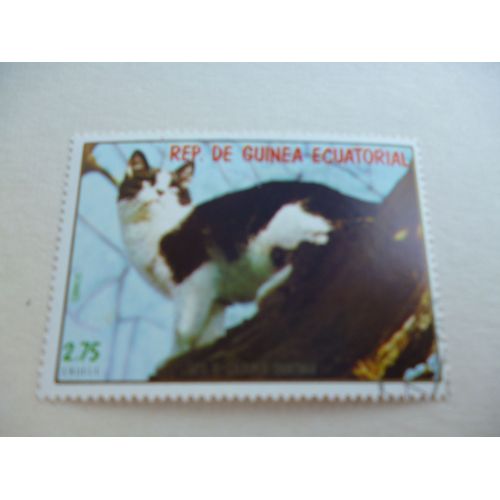 Timbre "Guinée Équatoriale :Chat  Bicolore Poils Courts".