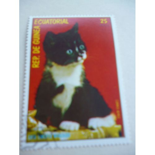Timbre "Guinée Équatoriale :Chat  Européen Manchado".