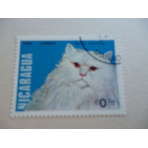 Timbre "Nicaragua 1984 :Chat Blanco Pelolargo".