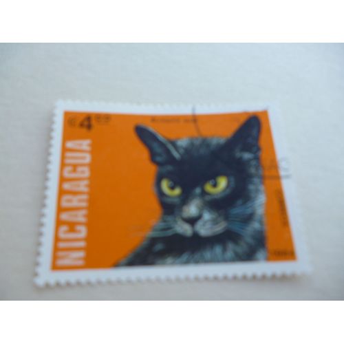 Timbre "Nicaragua 1984 :Chat Birmano Azul".