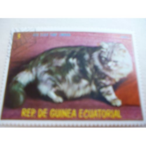 Timbre "Guinée Équatoriale :Chat  Silver Tabby Poils Longs".