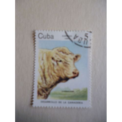 Timbre "Cuba 1984 :Vache Charolaise".