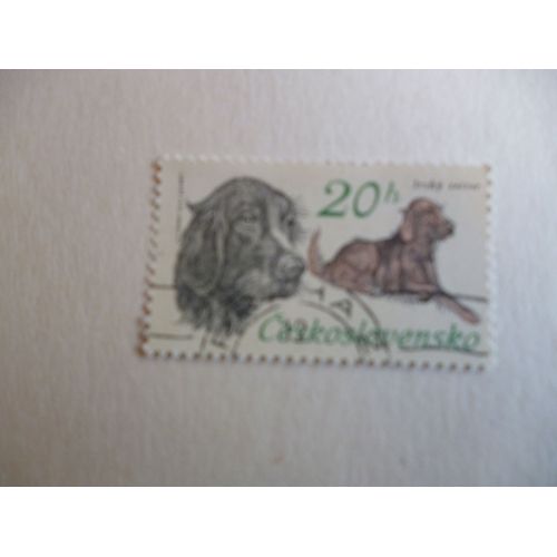 Timbre "Tchécoslovaquie  1973 :Chien Setter".
