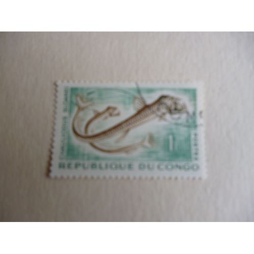 Timbre "Congo :Chauliodus Sloanei".