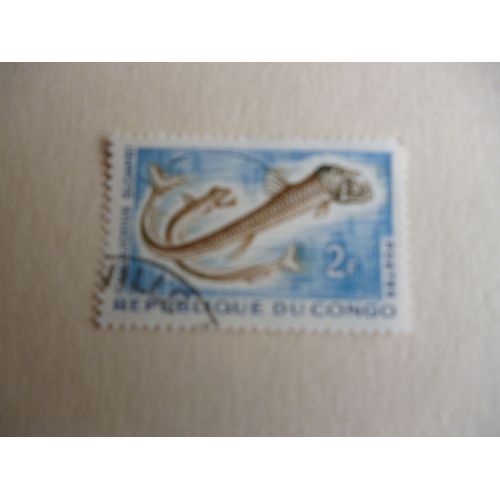 Timbre "Congo :Chauliodus Sloanei".