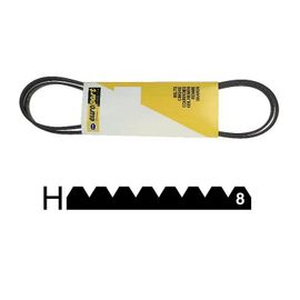 10271. COURROIE 1920 H8 MAEL EXTENSIBLE ARISTON