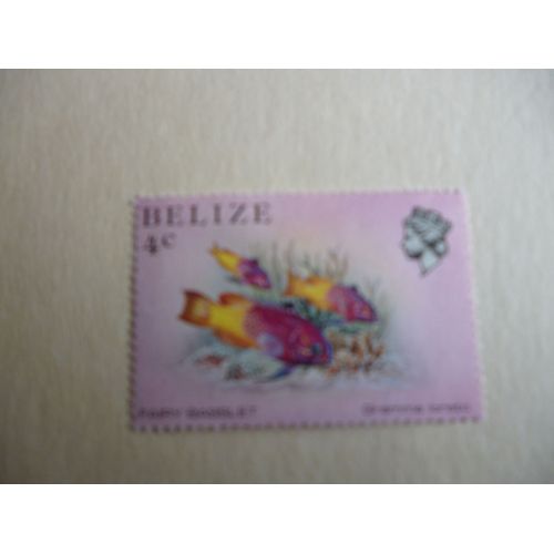Timbre "Belize :Fairy Basslet".
