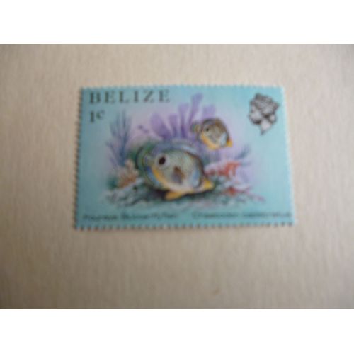 Timbre "Belize : Foureye Butterflyfish".