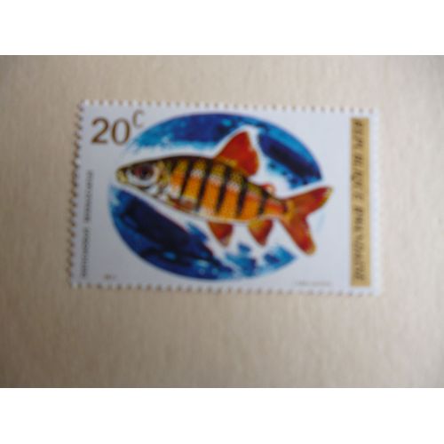 Timbre "République Rwandaise :Distochodus Sexfasciatus".